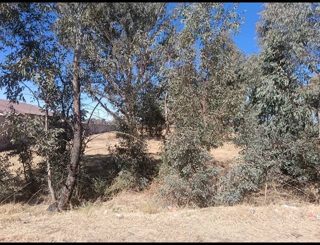 4,047M² VACANT LAND FOR SALE IN HIGHBURY